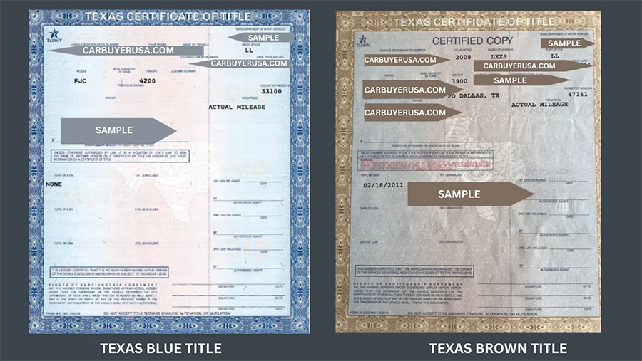 CarBuyerUSA - Blue and Brown Title